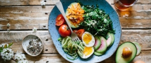 piatto per il corso haccp
